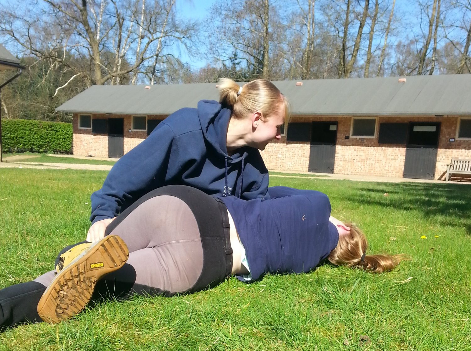 First Aid Courses for Horse Riders Sirius Business Services